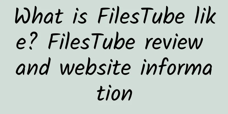 What is FilesTube like? FilesTube review and website information