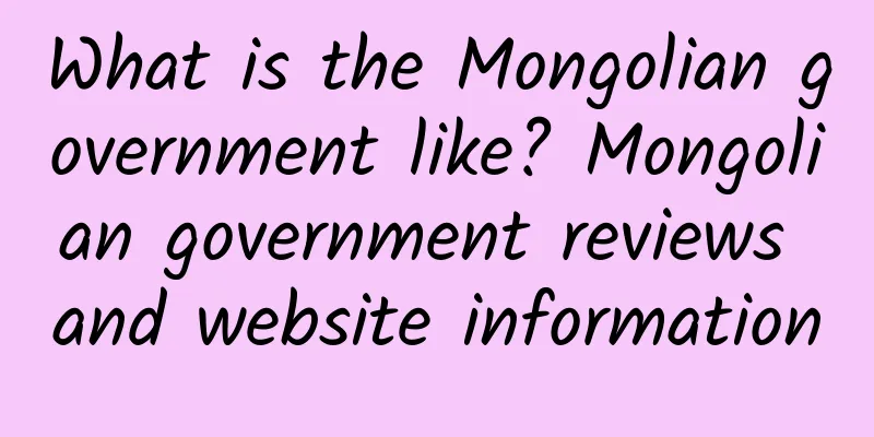 What is the Mongolian government like? Mongolian government reviews and website information