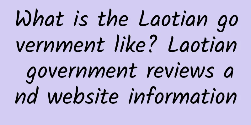 What is the Laotian government like? Laotian government reviews and website information