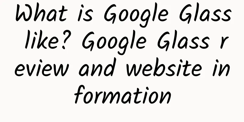 What is Google Glass like? Google Glass review and website information