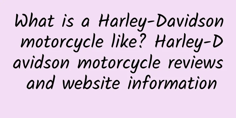 What is a Harley-Davidson motorcycle like? Harley-Davidson motorcycle reviews and website information