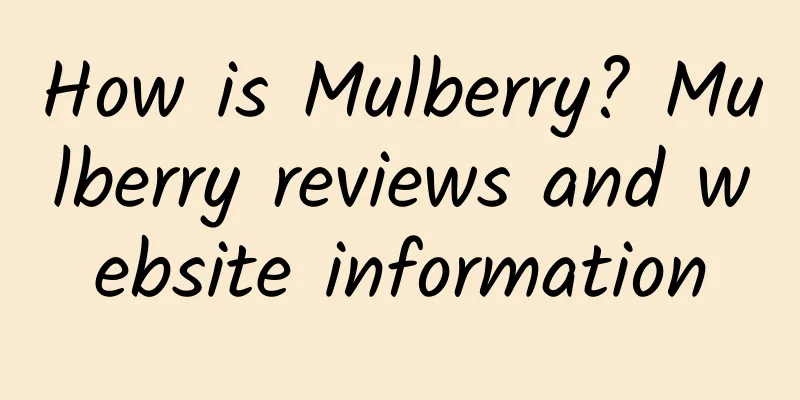 How is Mulberry? Mulberry reviews and website information