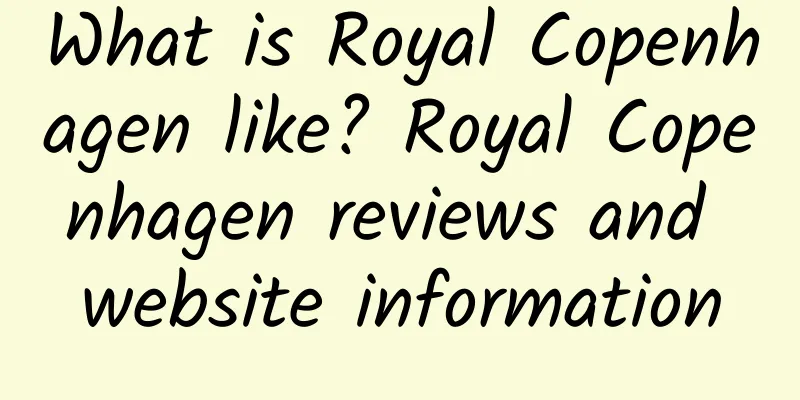 What is Royal Copenhagen like? Royal Copenhagen reviews and website information