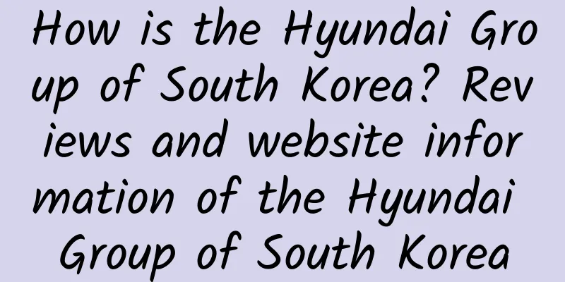 How is the Hyundai Group of South Korea? Reviews and website information of the Hyundai Group of South Korea