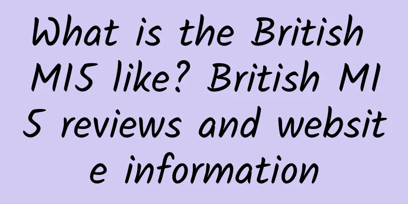 What is the British MI5 like? British MI5 reviews and website information