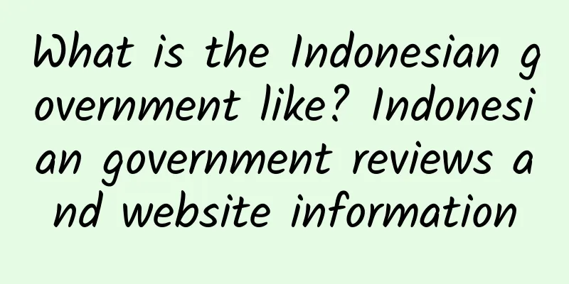 What is the Indonesian government like? Indonesian government reviews and website information