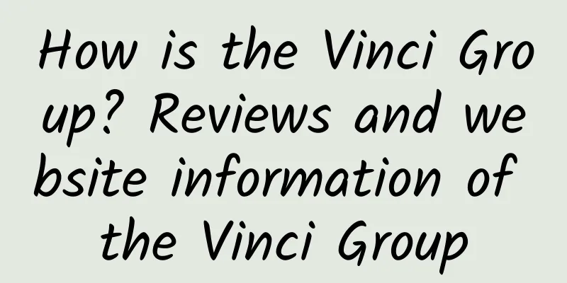 How is the Vinci Group? Reviews and website information of the Vinci Group