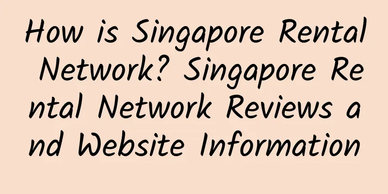 How is Singapore Rental Network? Singapore Rental Network Reviews and Website Information