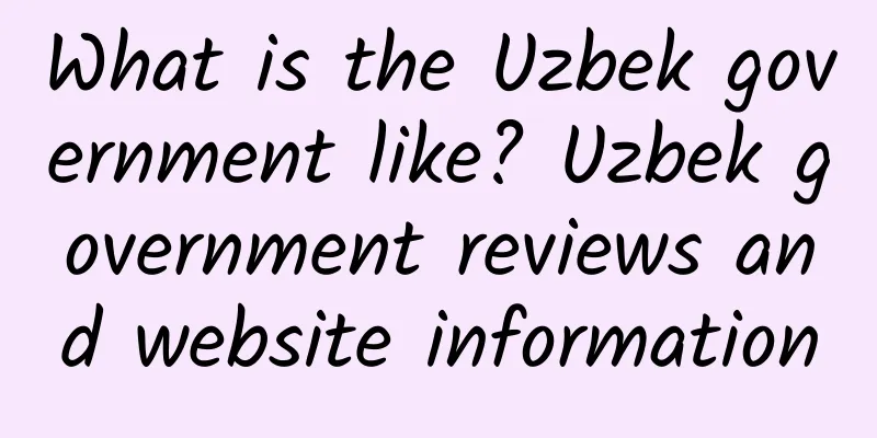 What is the Uzbek government like? Uzbek government reviews and website information