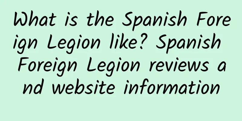 What is the Spanish Foreign Legion like? Spanish Foreign Legion reviews and website information