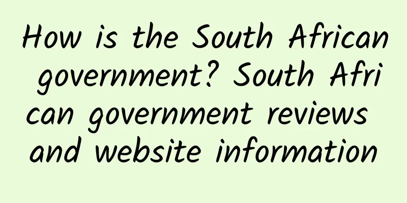 How is the South African government? South African government reviews and website information