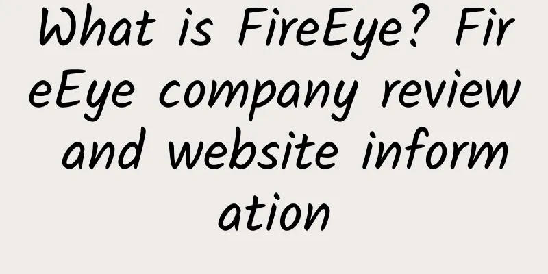 What is FireEye? FireEye company review and website information