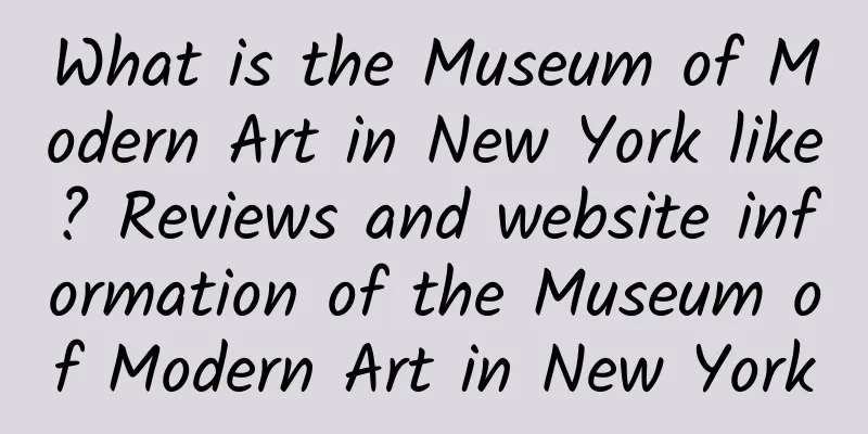 What is the Museum of Modern Art in New York like? Reviews and website information of the Museum of Modern Art in New York