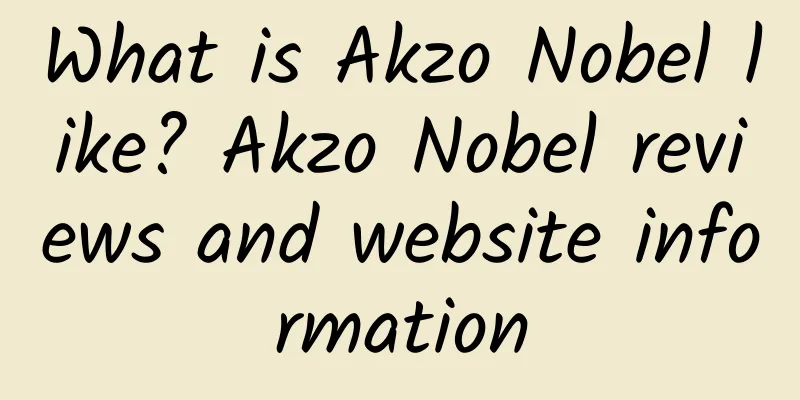 What is Akzo Nobel like? Akzo Nobel reviews and website information