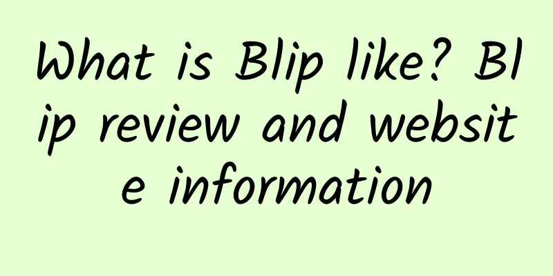 What is Blip like? Blip review and website information