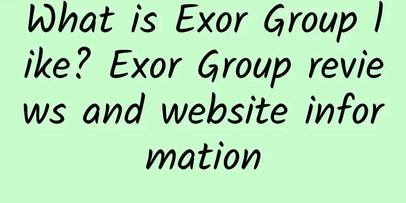 What is Exor Group like? Exor Group reviews and website information