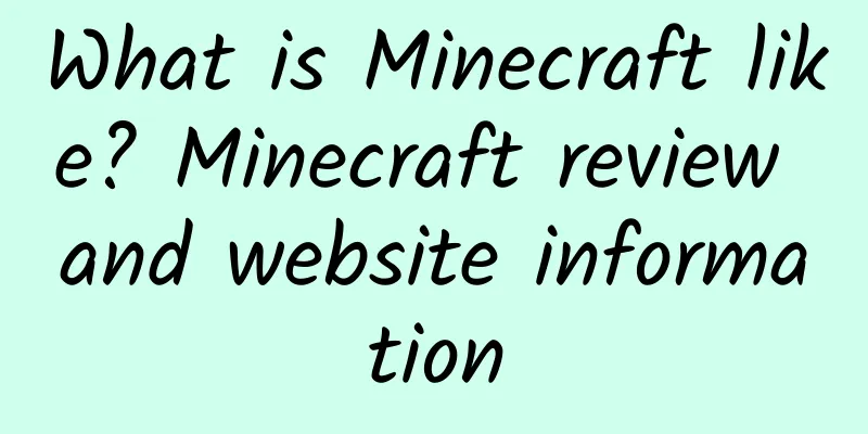 What is Minecraft like? Minecraft review and website information