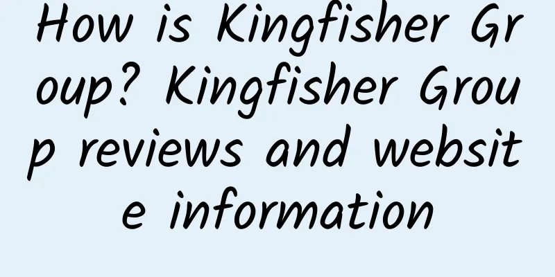 How is Kingfisher Group? Kingfisher Group reviews and website information