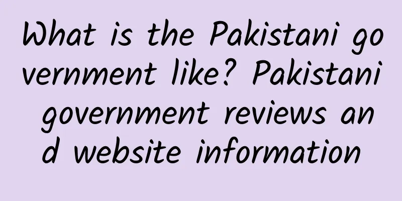 What is the Pakistani government like? Pakistani government reviews and website information