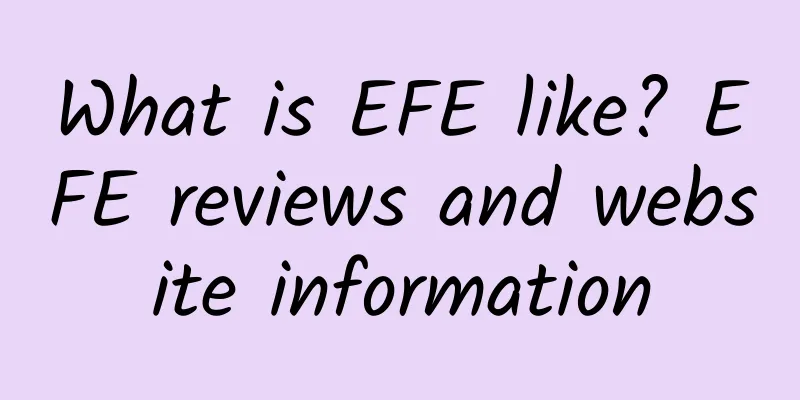 What is EFE like? EFE reviews and website information