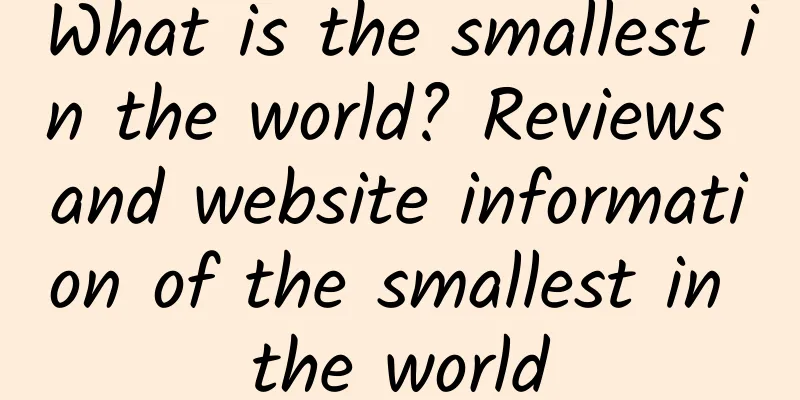What is the smallest in the world? Reviews and website information of the smallest in the world