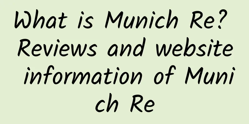 What is Munich Re? Reviews and website information of Munich Re