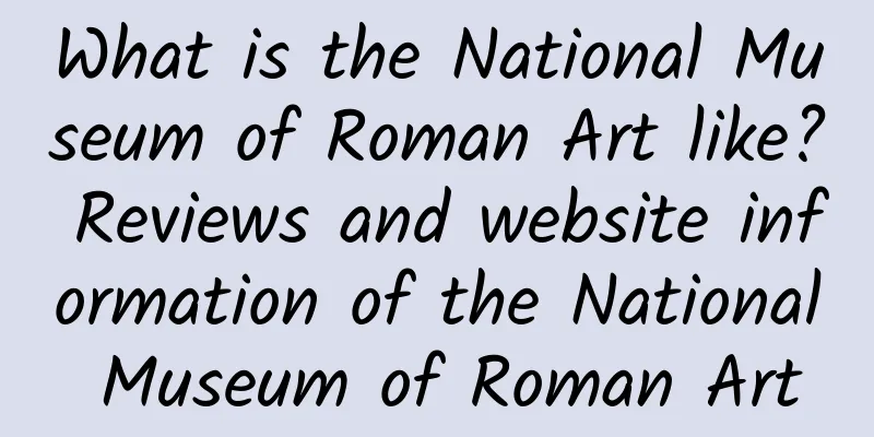 What is the National Museum of Roman Art like? Reviews and website information of the National Museum of Roman Art