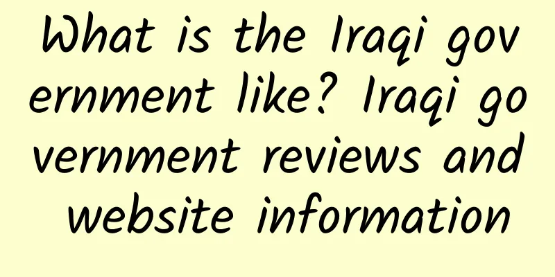 What is the Iraqi government like? Iraqi government reviews and website information