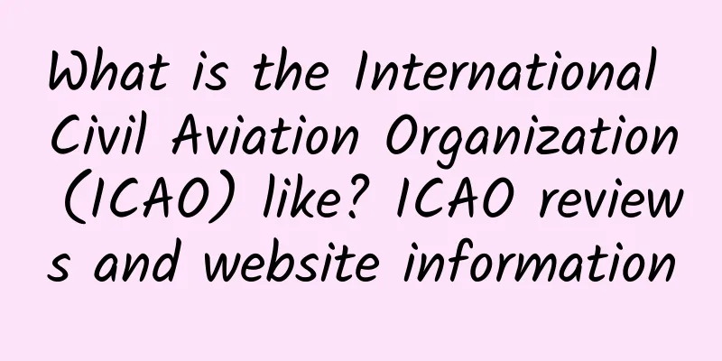 What is the International Civil Aviation Organization (ICAO) like? ICAO reviews and website information