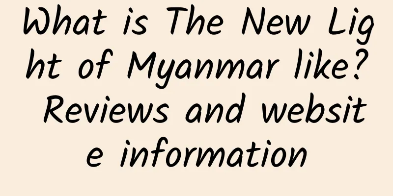What is The New Light of Myanmar like? Reviews and website information