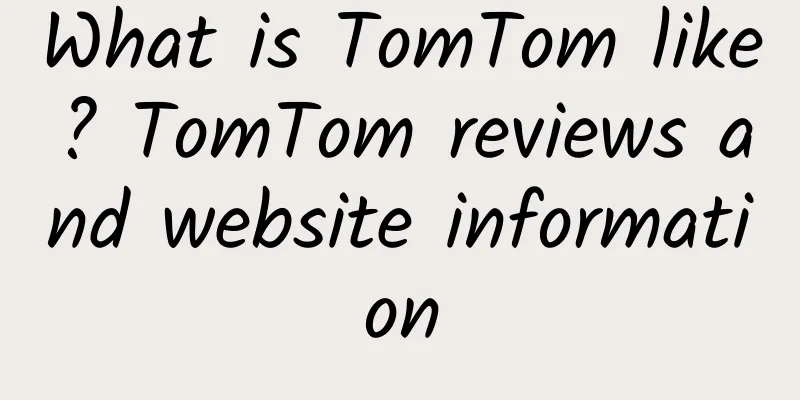 What is TomTom like? TomTom reviews and website information