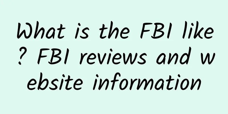 What is the FBI like? FBI reviews and website information