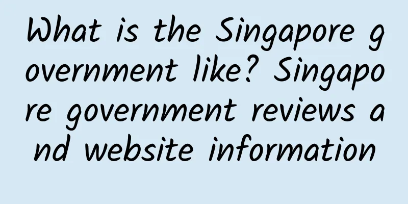 What is the Singapore government like? Singapore government reviews and website information