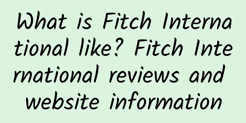 What is Fitch International like? Fitch International reviews and website information