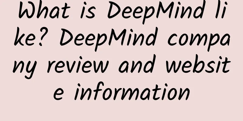 What is DeepMind like? DeepMind company review and website information