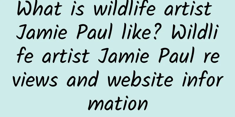 What is wildlife artist Jamie Paul like? Wildlife artist Jamie Paul reviews and website information