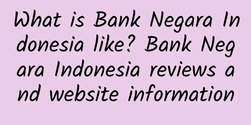 What is Bank Negara Indonesia like? Bank Negara Indonesia reviews and website information