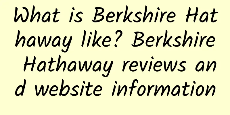 What is Berkshire Hathaway like? Berkshire Hathaway reviews and website information