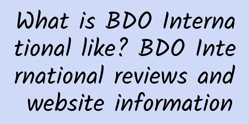 What is BDO International like? BDO International reviews and website information