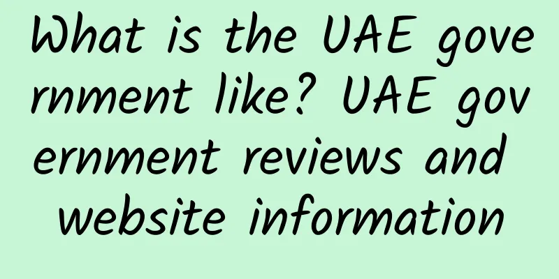 What is the UAE government like? UAE government reviews and website information