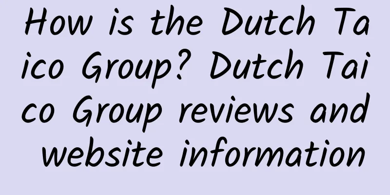 How is the Dutch Taico Group? Dutch Taico Group reviews and website information