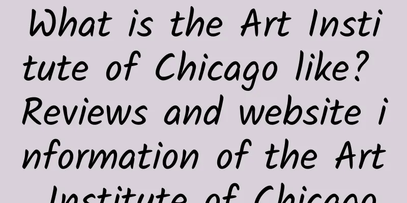 What is the Art Institute of Chicago like? Reviews and website information of the Art Institute of Chicago
