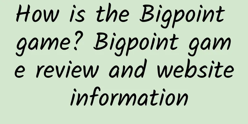 How is the Bigpoint game? Bigpoint game review and website information