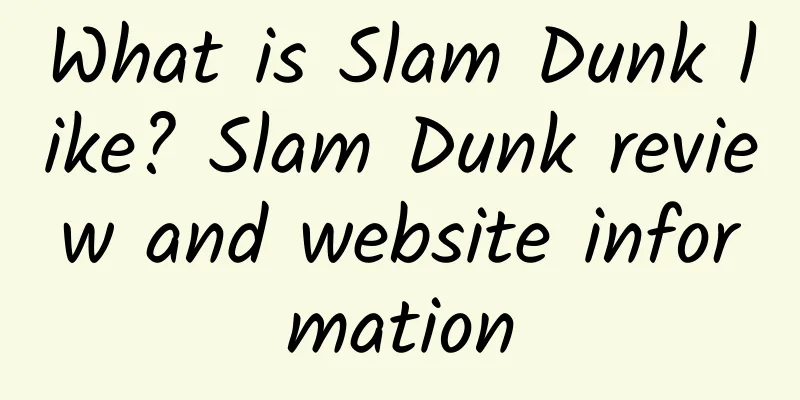 What is Slam Dunk like? Slam Dunk review and website information