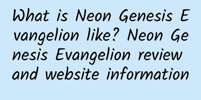 What is Neon Genesis Evangelion like? Neon Genesis Evangelion review and website information