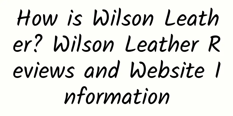 How is Wilson Leather? Wilson Leather Reviews and Website Information