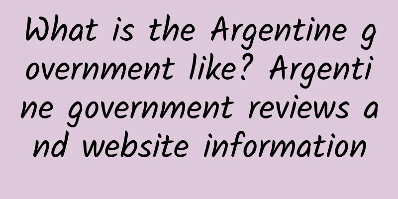 What is the Argentine government like? Argentine government reviews and website information
