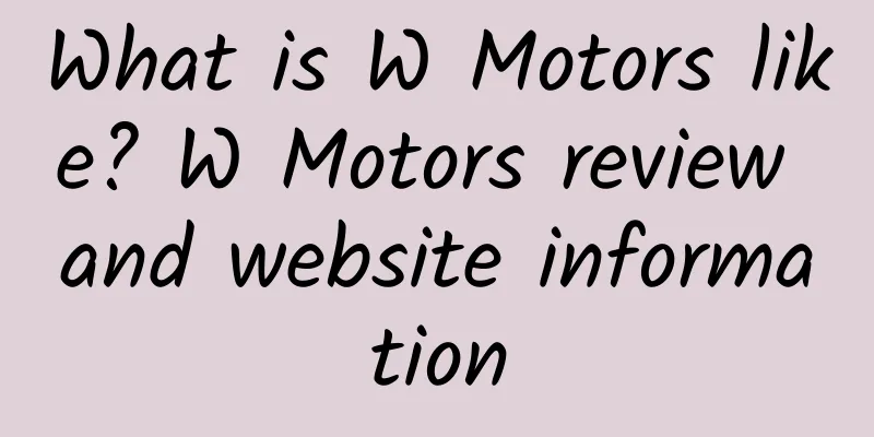 What is W Motors like? W Motors review and website information