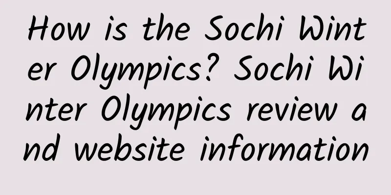 How is the Sochi Winter Olympics? Sochi Winter Olympics review and website information