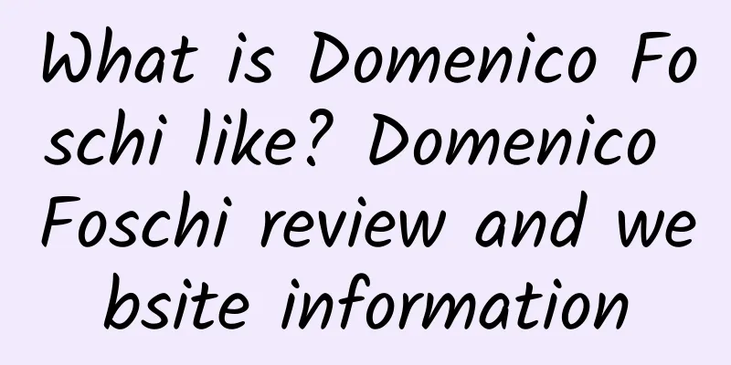 What is Domenico Foschi like? Domenico Foschi review and website information